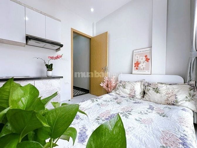 🏠 Siêu Phẩm 42m2 Dòng Tiền Cầu Giấy, Doanh thu 55tr, Chỉ Hơn 11 Tỷ 
