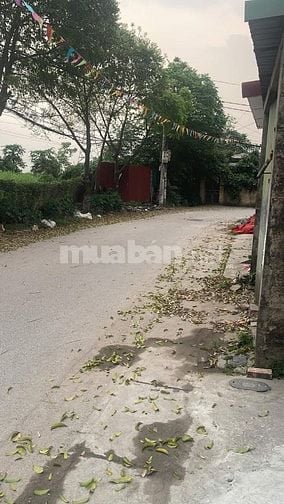 Cần cho thuê kho xưởng sản xuất