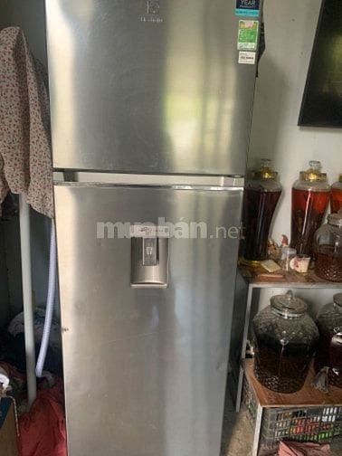 bán tủ lạnh Electrolux. dung tích lớn 