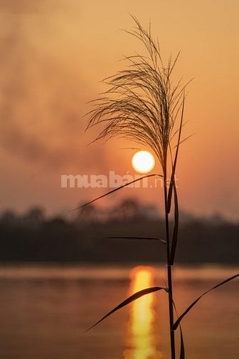 Cần 03 Nữ kiểm hàng phụ kho bán 