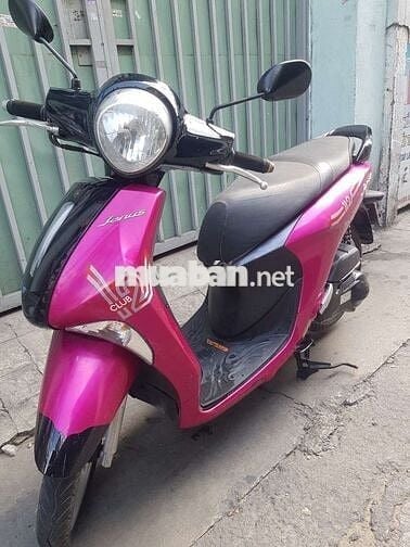 Zanus 2019 bs đẹp