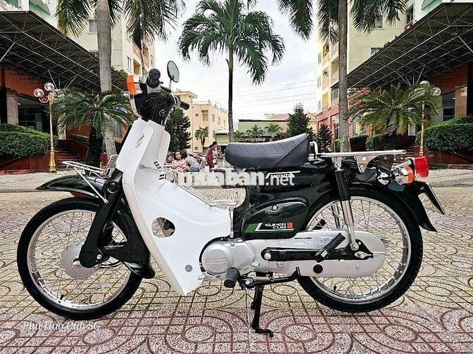 Honda Super Cub 81/86/50cc Kim Vàng Giọt Lệ NHẬT