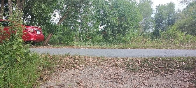 Đất gần kcn Tân Phước , kcn Long GiangTiền Giang