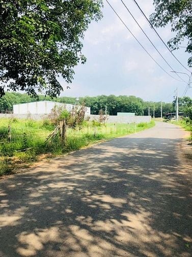 BÁN GẤP lô Tân Định Thành Phố Mới Bình Dương cách Khu Du Lịch Đại Nam 