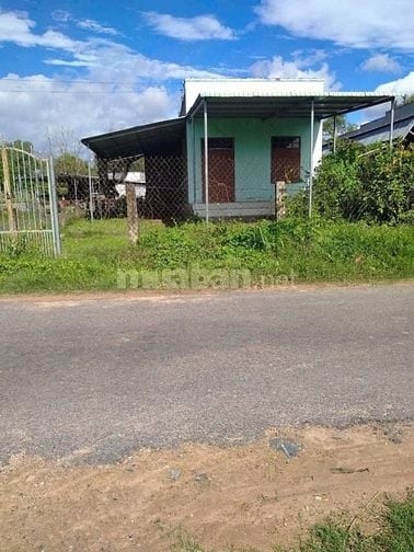 Bán lô đất 300m2 có nhà cấp 4, mặt tiền đường nhựa Bình Chánh
