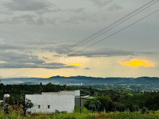 Đất ven Đà Lạt giá chỉ 490 triệu, SHR, view đồi thông mát mẻ
