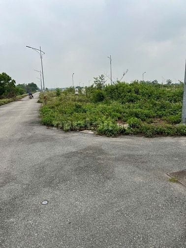 110m dịch vụ đồng trà phú nghĩa sẵn sổ giá tốt giáp đường lê văn luong