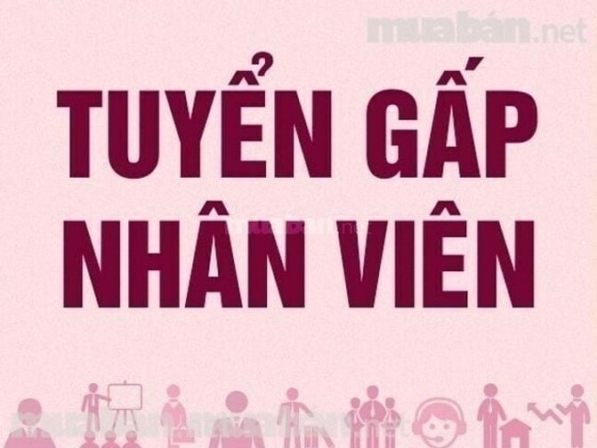 Cần tuyển nhân viên hành chính nhân sự
