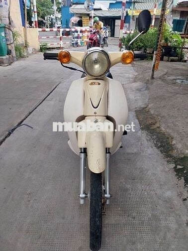 Super cup 50cc