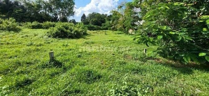BÁN GẤP LÔ ĐẤT Ở THÁI MỸ CỦ CHI 170M2 GIÁ 490 TRIỆU