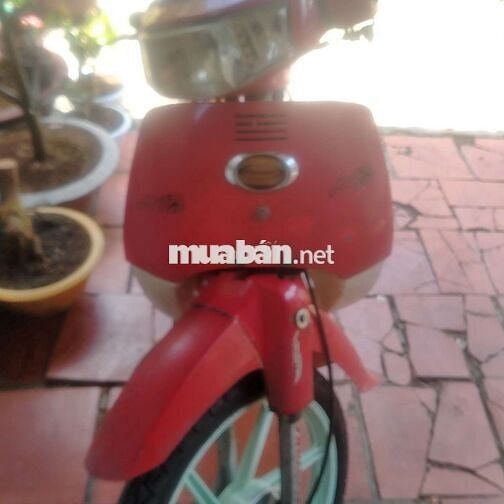 Max đỏ Nhật siêu tiết kiệm