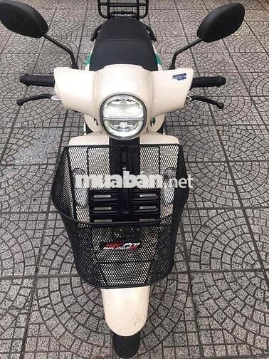 Fazzio 2023–bstp 9 chủ