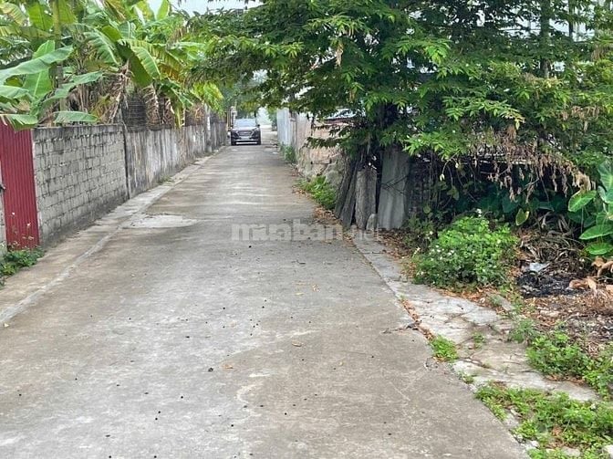 Bán đất ngõ Hoà Nghĩa -Dương Kinh