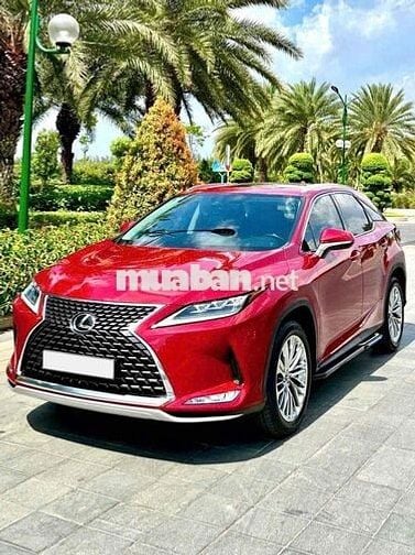 Lexus RX 2021 RX300 - 55000 km