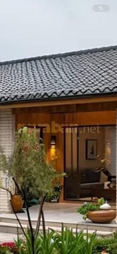 Bán MP Thì Sách DT120m2 MT8m sdcc bán 66tỷ.