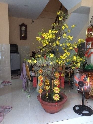 Nhà ở khu DC yên tĩnh, an ninh , đường NHC, Bình Thạnh