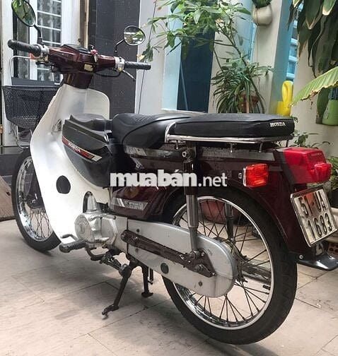 Xe Honda cub 89