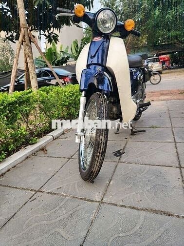 Xe cúp học sinh biển hà nội