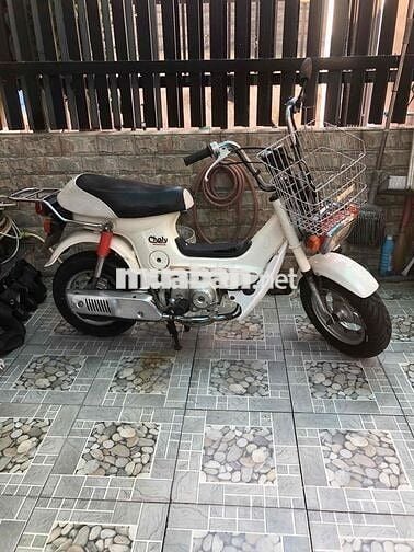 chaly81/70