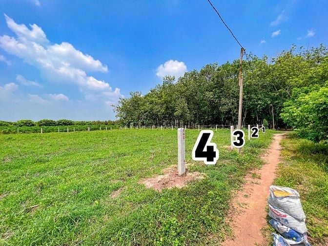 5x40 full thổ cư. Sổ hồng riêng. Đường xe hơi. 2xxtr