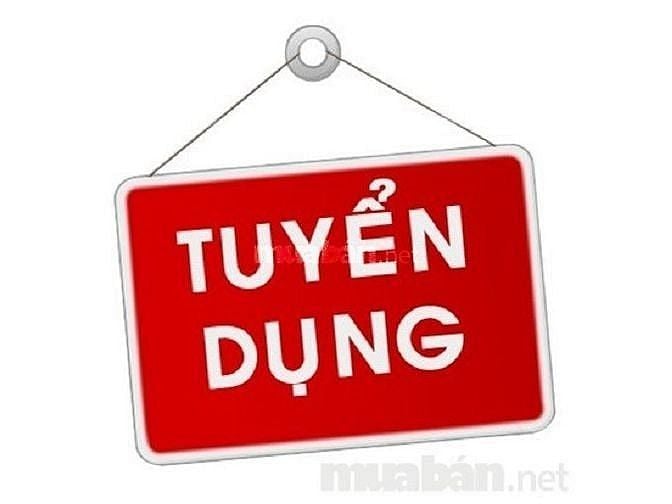 Cần tuyển tài xế kiêm bảo vệ làm tại nhà hàng Q.3, có chỗ ở