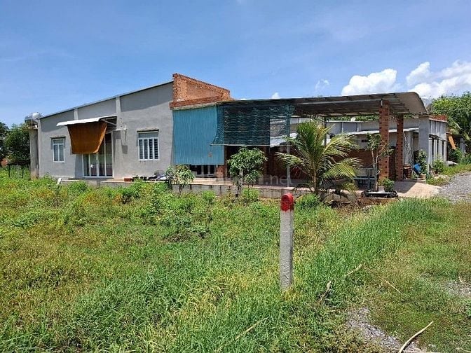 6x60 nở hậu, đất phù hợp thổ cư. Dân cư đông. 3xxtr