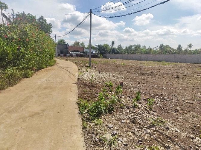 Đất nền thổ cư Cẩm Mỹ sổ riêng chỉ 150trieu sở hữu ngay