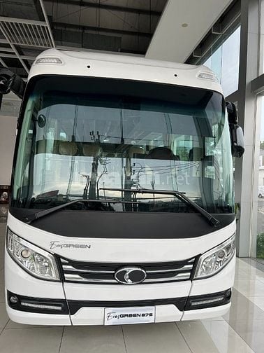 Xe 29 chỗ mẫu mới, xe hoa cưới và các loại xe du lịch chuyên nghiệp