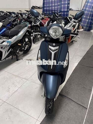 Gande xe zin chuẩn kemg  bs 65