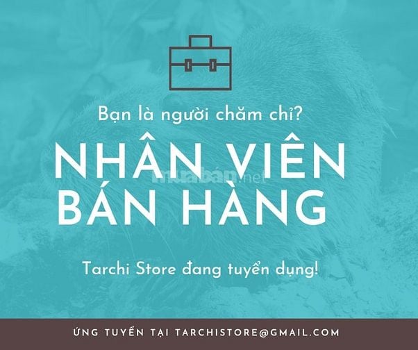 Việc làm Parttime/Fulltime tại Quận 5 - cần tuyển viên bán hàng 