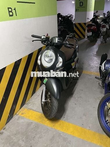 Honda Scoopy 2024
