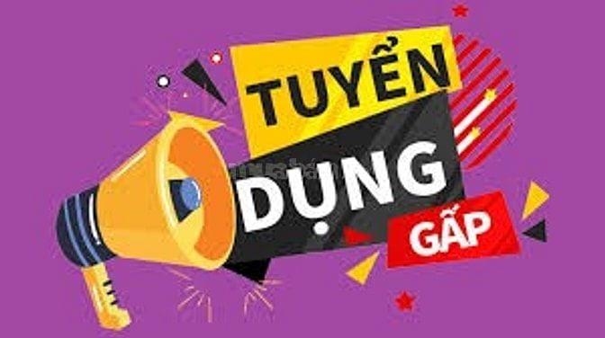 Cần tuyển 1 kế toán văn phòng, ưu tiên cho người đã có kinh nghiệm
