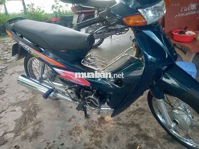 Wayị số Đồng tháp