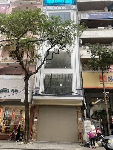 Cho thuê khu vực ngã tư Đại Cồ Việt - Bạch Mai 100m2 x 7T, có thuê lẻ