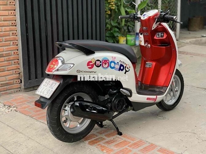 scoopy 2020