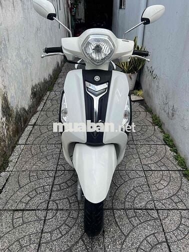 Grande bs65 zin rất đẹp
