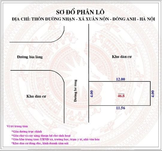 Cơ hội vàng sở hữu đất tại Đông Anh – Giá cực kỳ hấp dẫn!