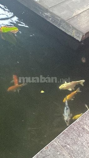 Việc Làm Uy Tín Cho Sinh Viên Quận Tân Bình