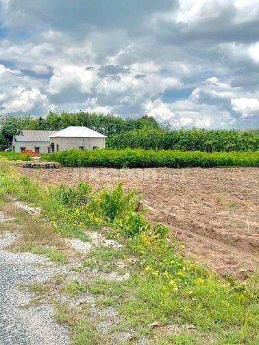 Bán Rẻ Miếng Đất Mặt Tiền Đường Liên Huyện DH519, Diện tích 550m2