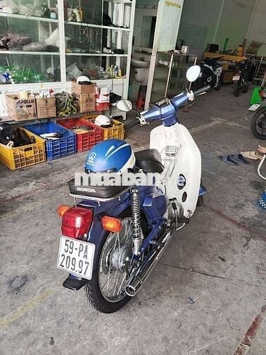 Gã con vợ Cub 82