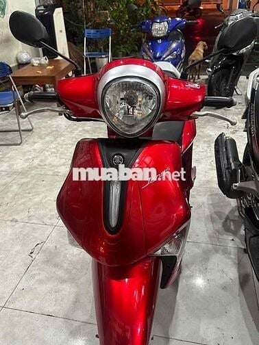 xe giá gẻ