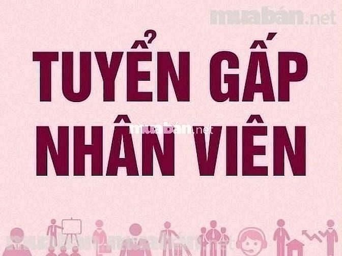 Cần Tuyển nhân viên phục vụ hàng ăn, lương 8-9 triệu