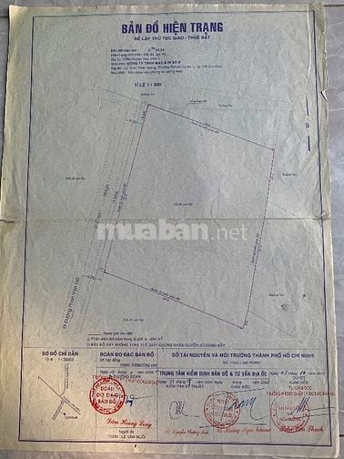 Mặt Tiền 20m Tiền Lân bà điểm hoc Môn tphcm 83X70