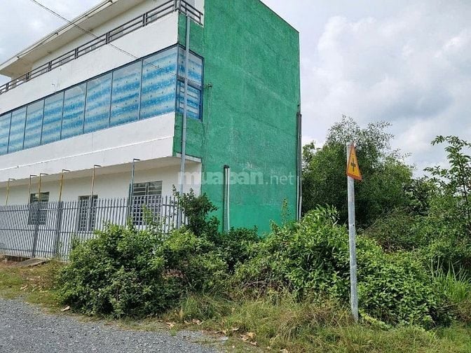 Bán Lô đất Lê Thị Vui , Phước Hiệp Củ Chi 136m2 full thổ- GIÁ 480TR