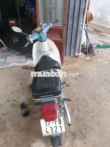 Cần bán lại con cud cho các em đi học
