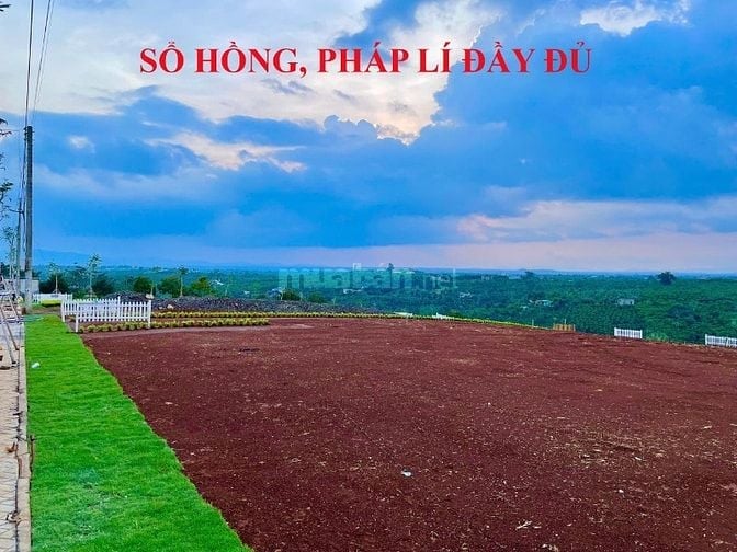 Đất Nền Di Linh Sổ Sẵn Cạnh Nút Giao Cao Tốc - Mặt Tiền 8m Chỉ 7XX