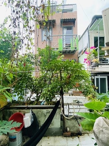 🔥 SIÊU HÓT - BÁN NHÀ TÂN HƯNG QUẬN 7 – GIÁ CHỈ 9.99 TỶ 🔥