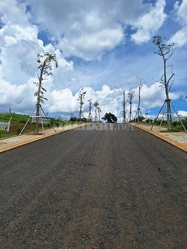 Cần Bán Gấp! Đất View Đồi Chill Tại Di Linh Gần Cao Tốc, Giá Siêu Tốt!