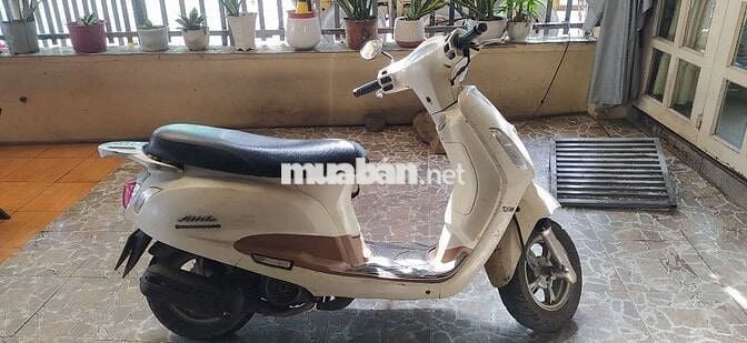 Dư xe cần bán gấp