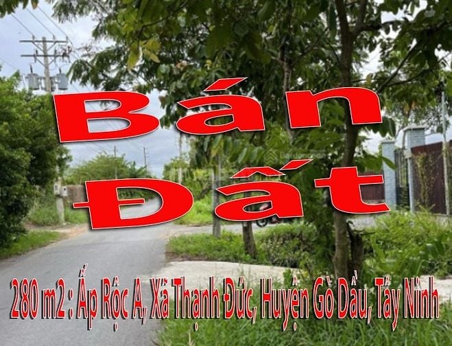 Cần Bán Mảnh Đất 280 m2 : Xã Thạnh Đức, Huyện Gò Dầu, Tây Ninh